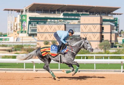 7 مشاركات للجياد البحرينية في أكبر وأغلى سباقات الخيل العالمية