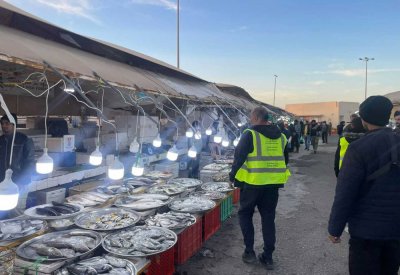 إجراءات قانونية حيال عدد من المخالفات البحرية