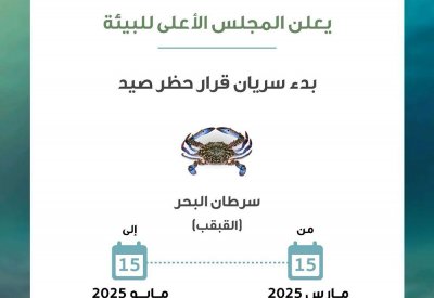 بدء سريان قرار حظر صيد "القبقب" اعتبارًا من 15 مارس