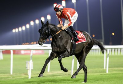 جياد الإسطبلات البحرينية تواصل مشاركاتها الخارجية عبر كأس دبي العالمي