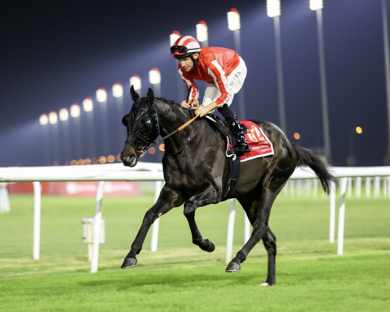 جياد الإسطبلات البحرينية تواصل مشاركاتها الخارجية عبر كأس دبي العالمي