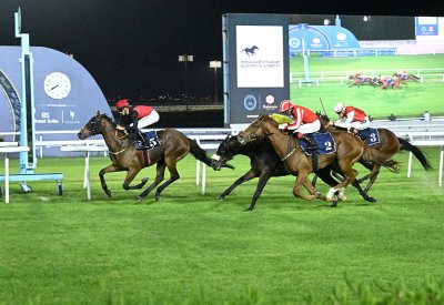 مشاركات كبيرة وقوية... والحماس يرتفع في السباقات الأخيرة لموسم الخيل