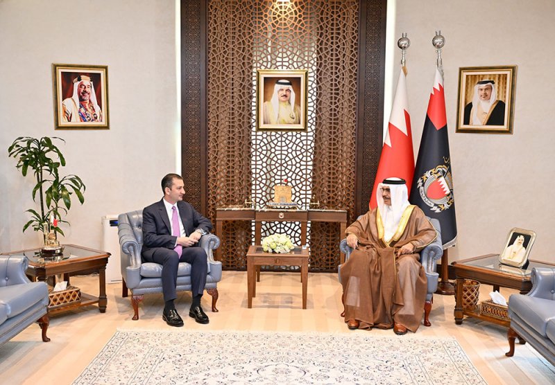 تطوير العمل الأمني مع قبرص