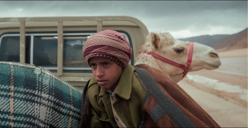 إطلاق الفيلم السعودي "هجان" على نتفلكس