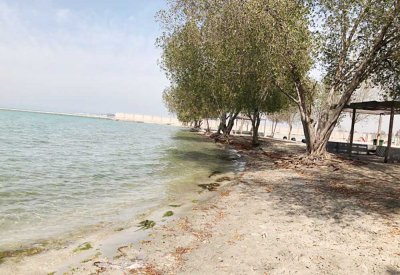 الدرازي: الموقع البديل لـ "ساحل دمستان" خيار أمثل لتطلعات أهالي المنطقة