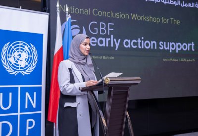 بن دينه: مواصلة التعاون مع “الأمم المتحدة الإنمائي” لتحقيق الاستدامة البيئية