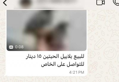 "البلاد" ترصد بلابل بحرينية تُباع بـ 250 دينار