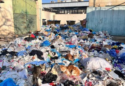 التصدي للتلوث بالبلاستيك.. دعوة إلى العمل في اليوم العالمي للبيئة