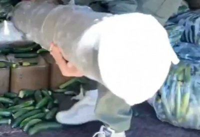 صواريخ بين الخيار.. فيديو لإحباط تهريب أسلحة من سوريا إلى لبنان