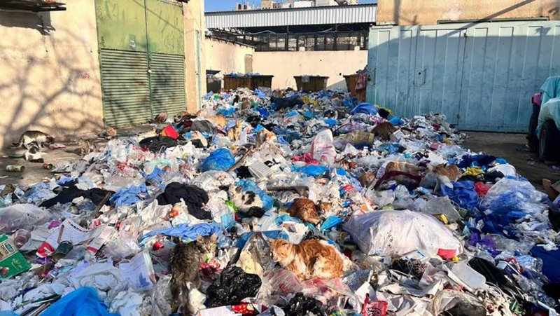 التصدي للتلوث بالبلاستيك.. دعوة إلى العمل في اليوم العالمي للبيئة