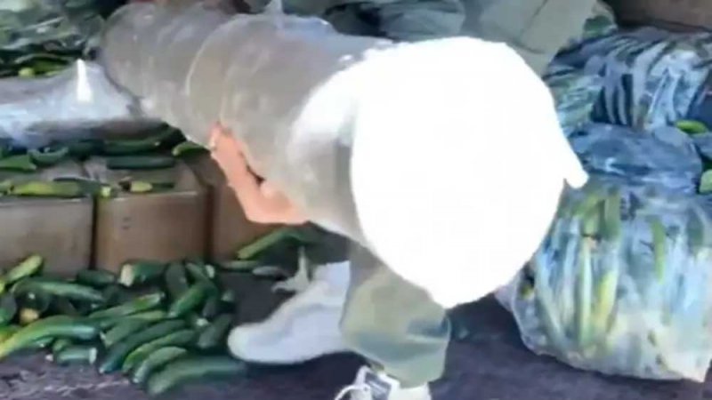 صواريخ بين الخيار.. فيديو لإحباط تهريب أسلحة من سوريا إلى لبنان