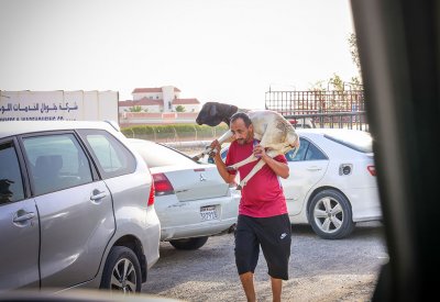 بالصور: “البلاد” ترصد الإقبال على شراء الأضاحي وذبحها في يوم عيد الأضحى المبارك