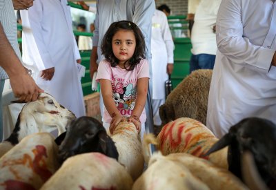 بالصور: ذبح الأضاحي صباح عيد الأضحى