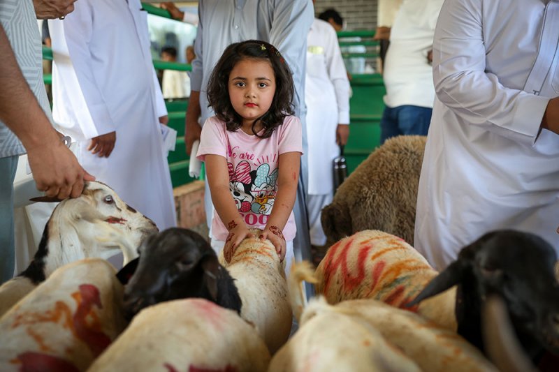 بالصور: ذبح الأضاحي صباح عيد الأضحى