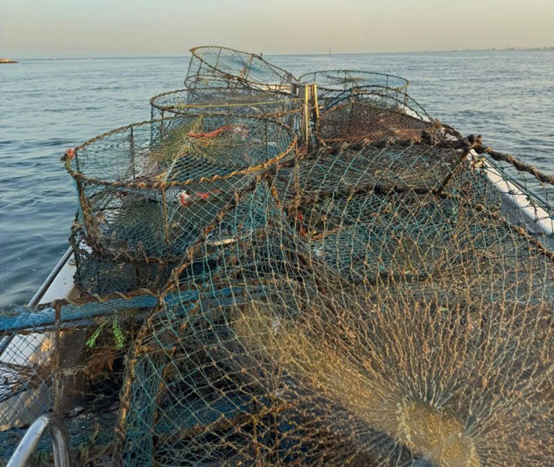 خفر السواحل: ضبط عدد من مصائد الأسماك "القراقير" الممنوع استخدامها