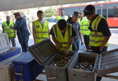 حملة بالبديع لضبط مخالفات الصيد