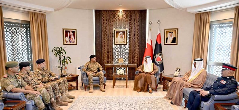 وزير الداخلية يلتقي وفد منظمة أعمال الحدود الباكستانية