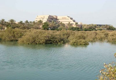 مبادرة "قرم البحرين" قصة نجاح بيئية تُروى من دوحة عراد