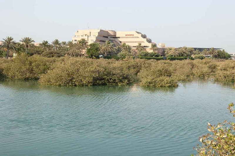 مبادرة "قرم البحرين" قصة نجاح بيئية تُروى من دوحة عراد