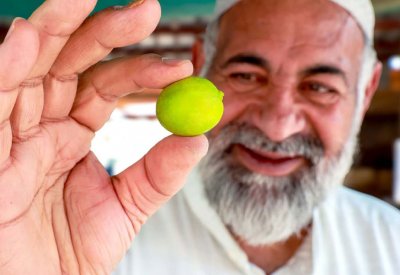 “سوق دمستان” مرآة لعلاقة الإنسان بالأرض والبحر
