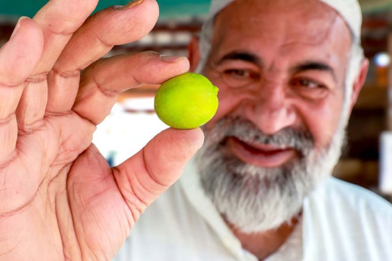 “سوق دمستان” مرآة لعلاقة الإنسان بالأرض والبحر