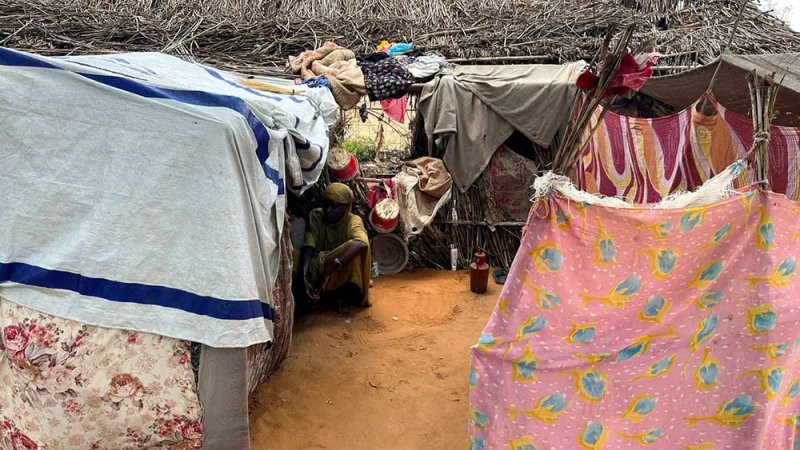 قوات درع السودان التابعة للجيش: سنفك حصار الفاشر