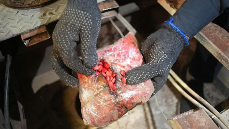 بالفيديو: السعودية.. منفذ البطحاء يحبط تهريب 817 ألف حبة محظورة