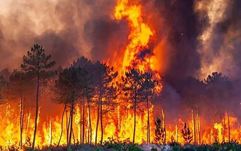 إسبانيا تكافح حرائق غابات واسعة النطاق وتخلي 12 ألف شخص من منازلهم