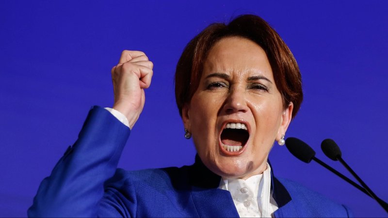 استقالات جماعية من حزب تركي يعارض مبادرة أردوغان وأوجلان