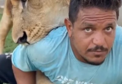جديد ترويع عامل مصري بأسد في ليبيا.. تجميد أموال وممتلكات المتهم