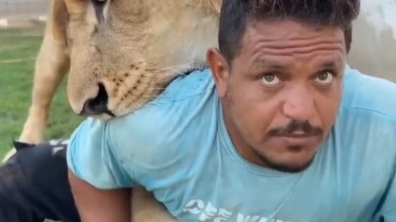 جديد ترويع عامل مصري بأسد في ليبيا.. تجميد أموال وممتلكات المتهم