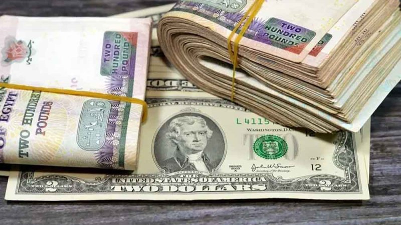 بعد سلسلة من الخسائر.. ارتفاع مفاجئ بسعر الدولار الأميركي مقابل الجنيه المصري