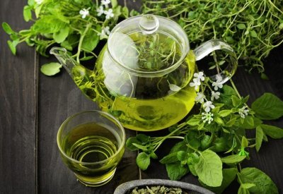 هل يحمي الشاي الأخضر من الزهايمر؟ دراسة جديدة تجيب..