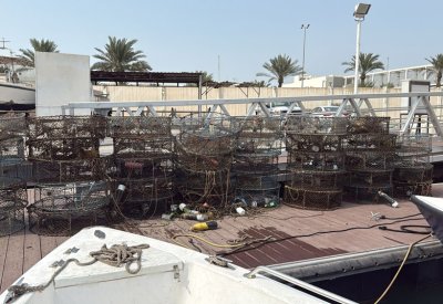 خفر السواحل يضبط 778 مصيدة وشباك صيد مخالفة في شهر أغسطس