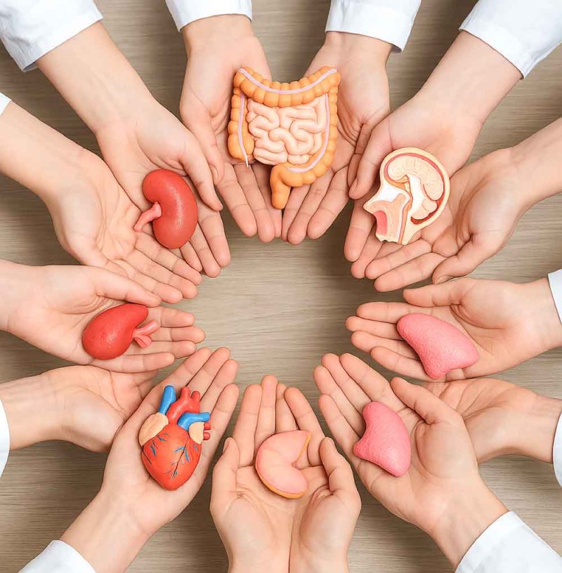 41 % من المواطنين يرون منصة التبرع بالأعضاء سهلة الاستخدام