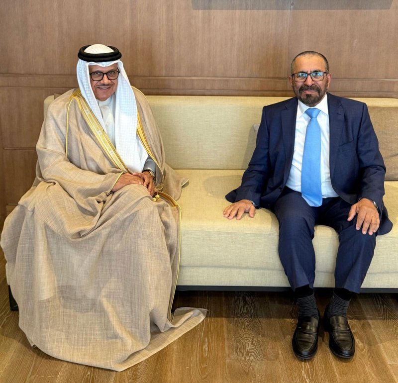 وزير الخارجية يلتقي في مدينة سوتشي الروسية مع وزير الدولة بوزارة الخارجية الإماراتية