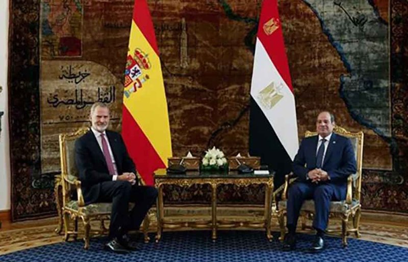 الرئيس المصري يبحث مع ملك إسبانيا تعزيز العلاقات الثنائية