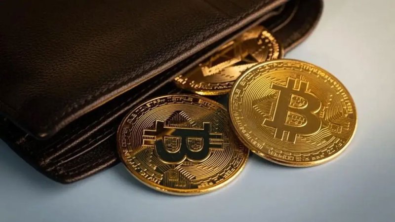 صندوق تداول في جنوب أفريقيا يحذر من الرهان الكامل على البيتكوين