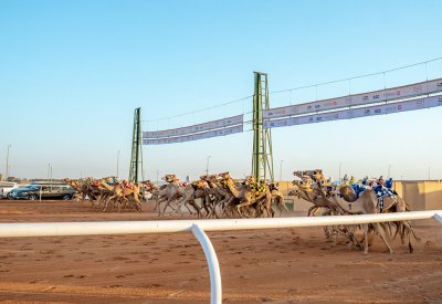 الهجن البحرينية تحقق 3 إنجازات في أول أيام كأس الاتحاد السعودي