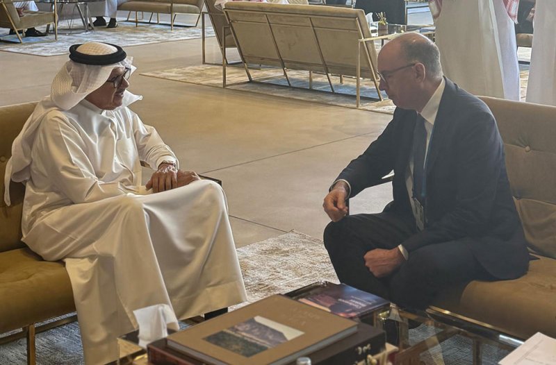 وزير الخارجية يلتقي وزير الدولة في وزارة التعاون الاقتصادي والتنمية في جمهورية ألمانيا
