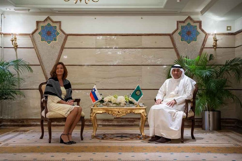البديوي يشيد بموقف سلوفينيا الداعم للاعتراف بدولة فلسطين