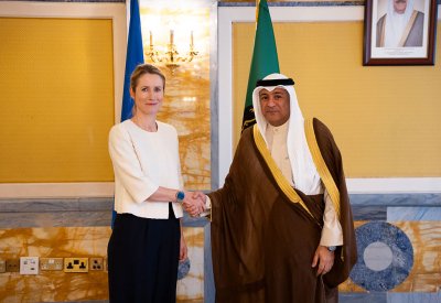 البديوي يبحث التعاون المشترك مع الممثلة العليا للشؤون الخارجية والسياسة الأمنية بالاتحاد الأوروبي