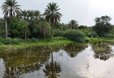 جازان "الطبيعة والرؤية".. تناغمٌ يُشكِّل ملامح التنمية المستدامة