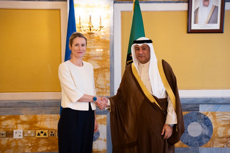 البديوي يبحث التعاون المشترك مع الممثلة العليا للشؤون الخارجية والسياسة الأمنية بالاتحاد الأوروبي