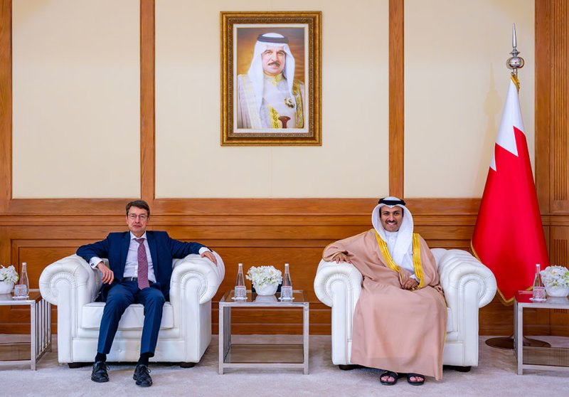تنسيق التعاون الإعلامي والثقافي مع ألمانيا
