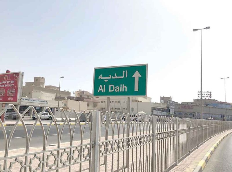 الديه.. تجهيز 116 أرض سكنية لمشاريع الإسكان بـ 1.7 مليون دينار