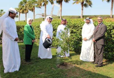 مجلس المناقصات والمزايدات يشارك في فعاليات "أسبوع الشجرة"