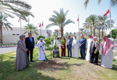 الصالح: أسبوع الشجرة مناسبة بيئية تعزز خطط وبرامج التشجير