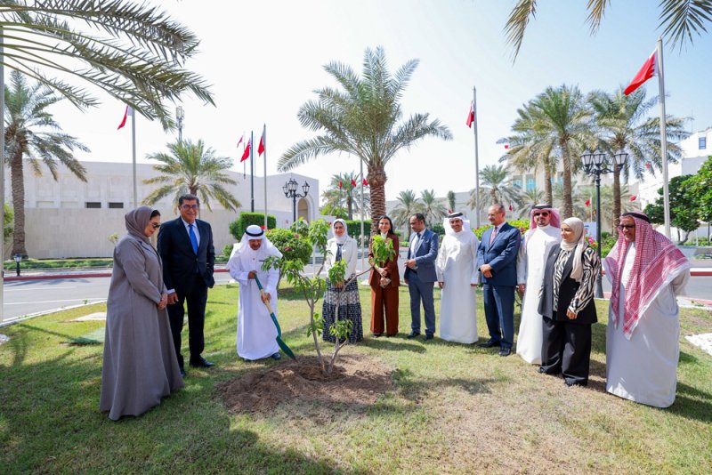 الصالح: أسبوع الشجرة مناسبة بيئية تعزز خطط وبرامج التشجير