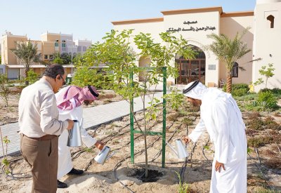 الأوقاف السنية تشارك في فعاليات أسبوع الشجرة